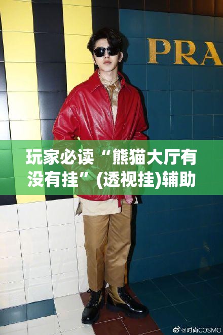玩家必读“熊猫大厅有没有挂”(透视挂)辅助下载教程