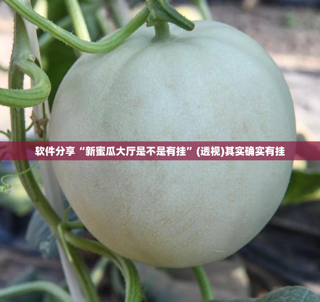 软件分享“新蜜瓜大厅是不是有挂”(透视)其实确实有挂