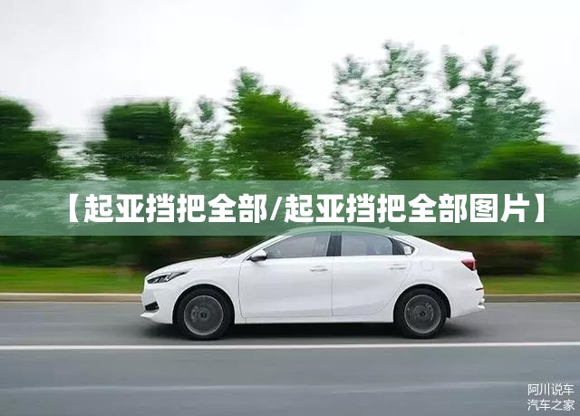 【起亚挡把全部/起亚挡把全部图片】 【起亚挡把全部/起亚挡把全部图片】