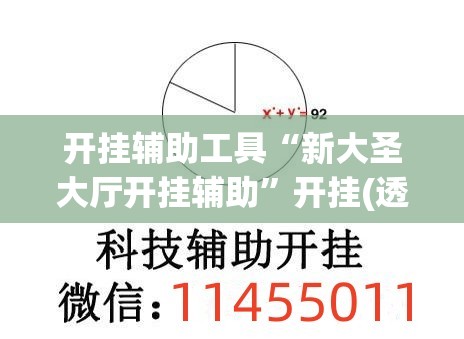 开挂辅助工具“新大圣大厅开挂辅助	”开挂(透视)辅助神器