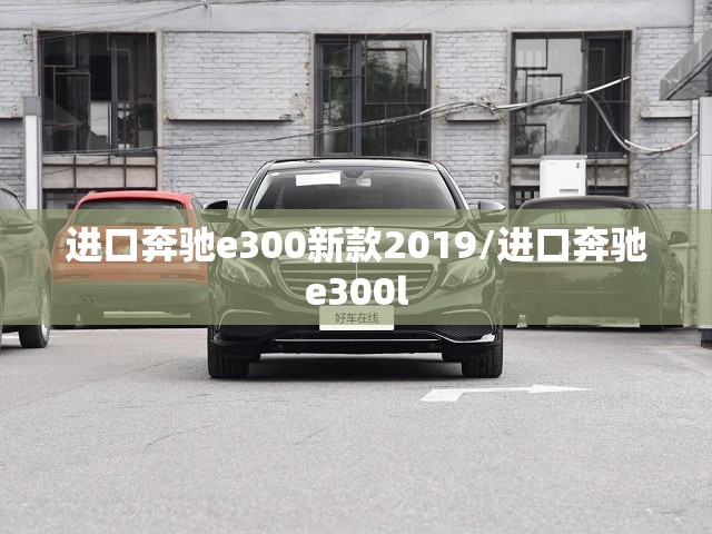 进口奔驰e300新款2019/进口奔驰e300l 进口奔驰e300新款2019/进口奔驰e300l