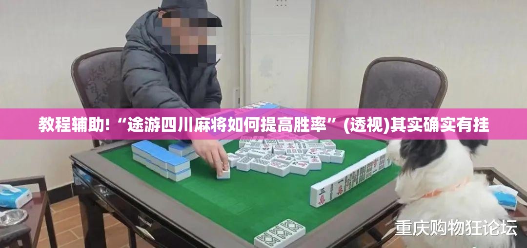 教程辅助!“途游四川麻将如何提高胜率	”(透视)其实确实有挂