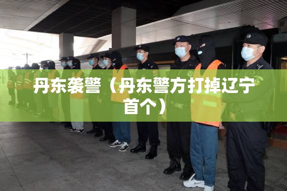 丹东袭警（丹东警方打掉辽宁首个）