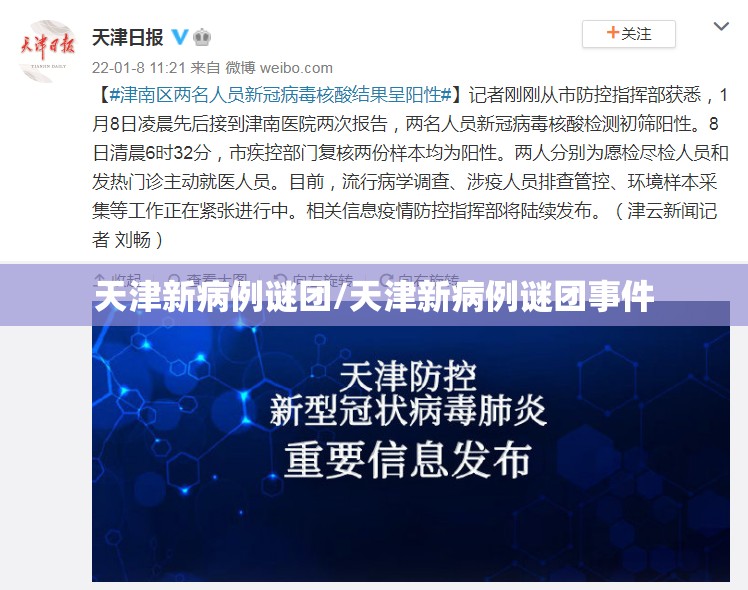 天津新病例谜团/天津新病例谜团事件 天津新病例谜团/天津新病例谜团事件
