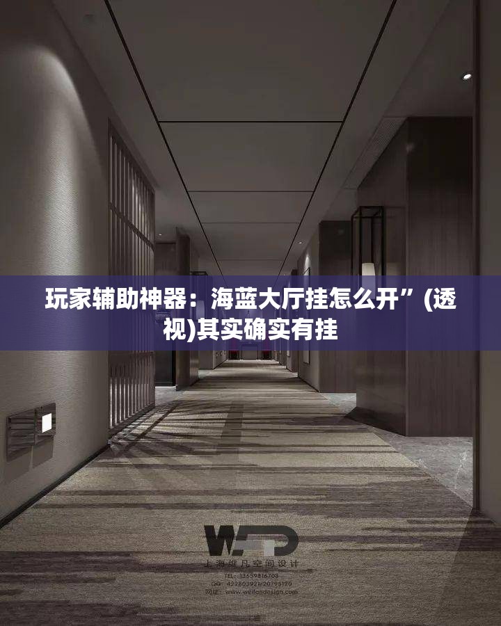 玩家辅助神器：海蓝大厅挂怎么开”(透视)其实确实有挂