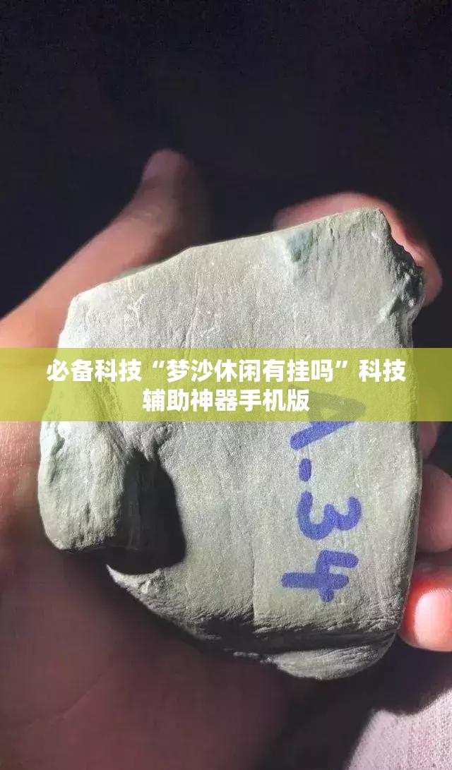 必备科技“梦沙休闲有挂吗”科技辅助神器手机版
