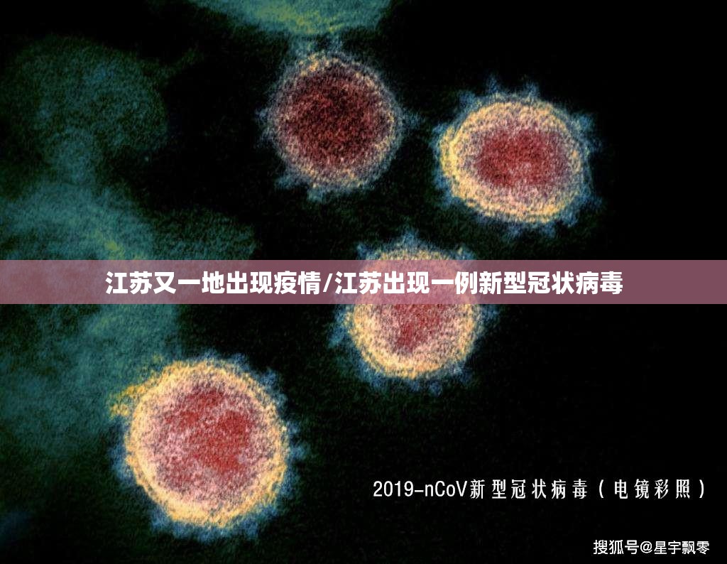 江苏又一地出现疫情/江苏出现一例新型冠状病毒