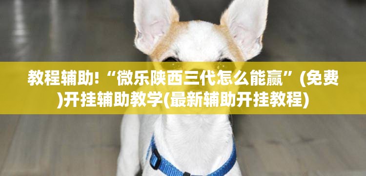 教程辅助!“微乐陕西三代怎么能赢	”(免费)开挂辅助教学(最新辅助开挂教程)