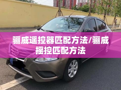 骊威遥控器匹配方法/骊威摇控匹配方法 骊威遥控器匹配方法/骊威摇控匹配方法
