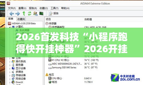 2026首发科技“小程序跑得快开挂神器”2026开挂教程步骤