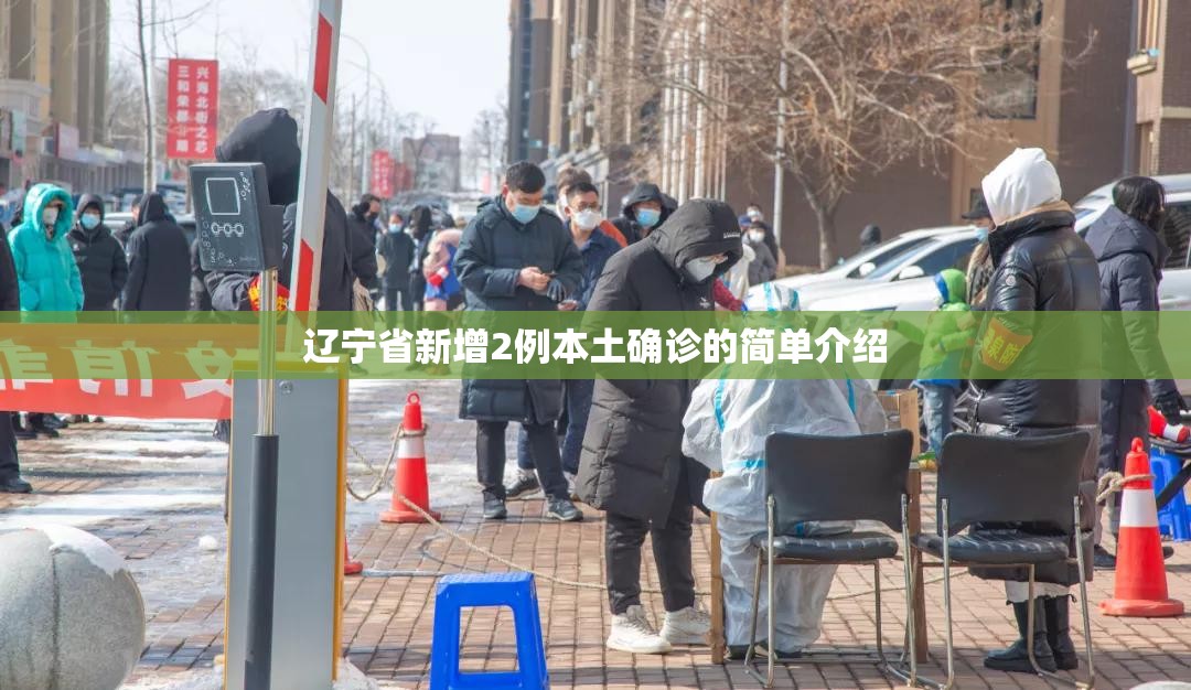 辽宁省新增2例本土确诊的简单介绍 辽宁省新增2例本土确诊的简单介绍