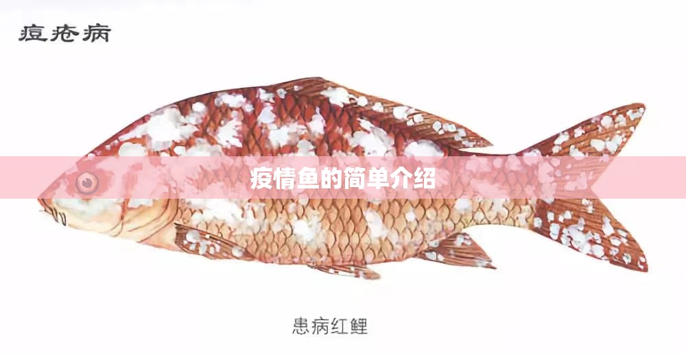 疫情鱼的简单介绍 疫情鱼的简单介绍