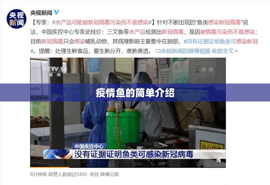 疫情鱼的简单介绍 疫情鱼的简单介绍