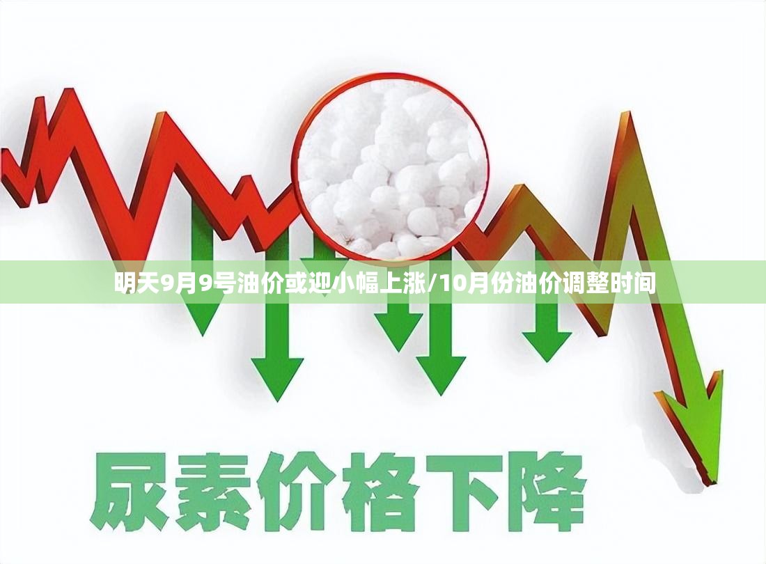 明天9月9号油价或迎小幅上涨/10月份油价调整时间 明天9月9号油价或迎小幅上涨/10月份油价调整时间