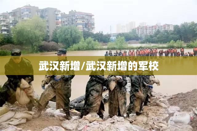 武汉新增/武汉新增的军校 武汉新增/武汉新增的军校