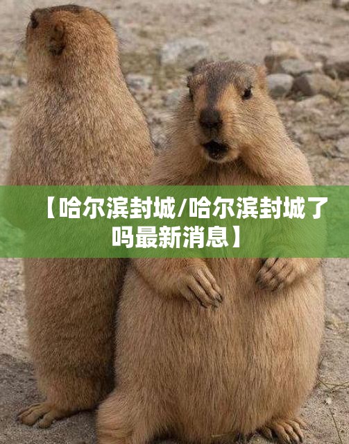 【哈尔滨封城/哈尔滨封城了吗最新消息】 【哈尔滨封城/哈尔滨封城了吗最新消息】