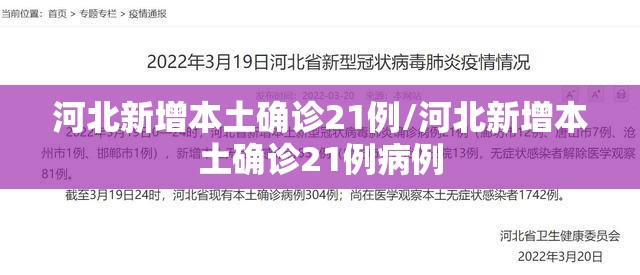 河北新增本土确诊21例/河北新增本土确诊21例病例