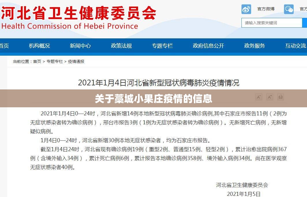关于藁城小果庄疫情的信息 关于藁城小果庄疫情的信息