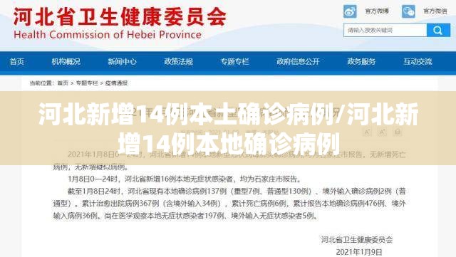 河北新增14例本土确诊病例/河北新增14例本地确诊病例 河北新增14例本土确诊病例/河北新增14例本地确诊病例