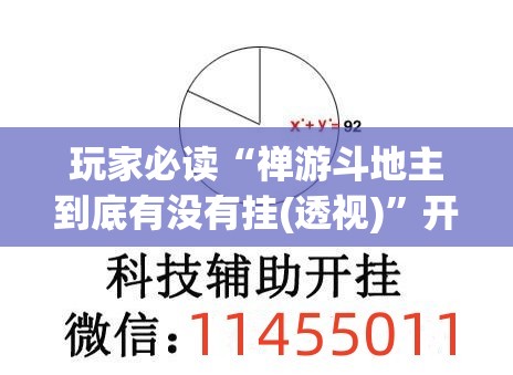 玩家必读“禅游斗地主到底有没有挂(透视)	”开挂辅助脚本+详细开挂安装教程