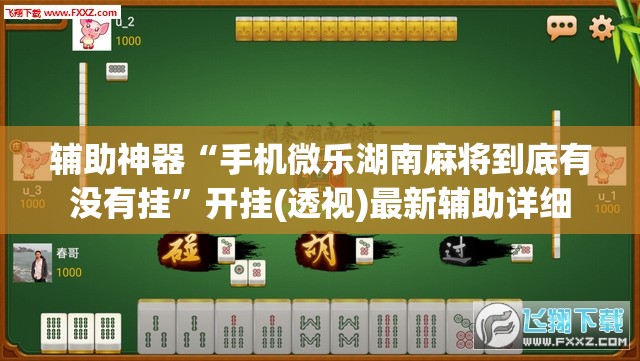 辅助神器“手机微乐湖南麻将到底有没有挂”开挂(透视)最新辅助详细