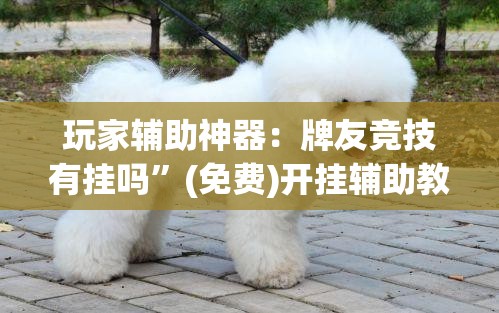 玩家辅助神器：牌友竞技有挂吗”(免费)开挂辅助教学(最新辅助开挂教程)