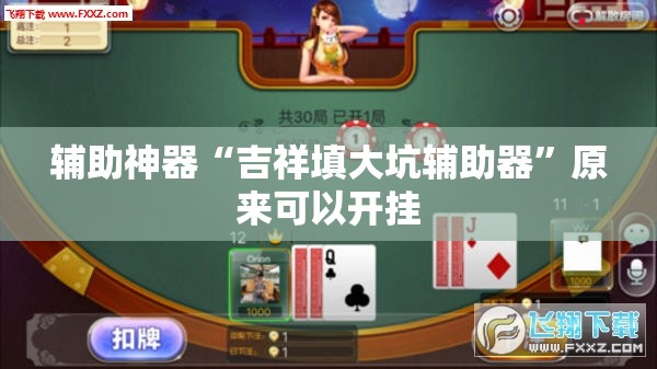 辅助神器“吉祥填大坑辅助器	”原来可以开挂
