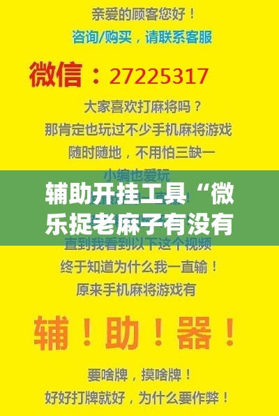 辅助开挂工具“微乐捉老麻子有没有开挂神器(透视)	”开挂辅助脚本+详细开挂安装教程