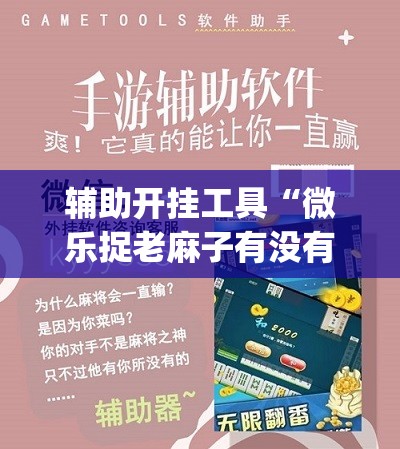 辅助开挂工具“微乐捉老麻子有没有开挂神器(透视)”开挂辅助脚本+详细开挂安装教程