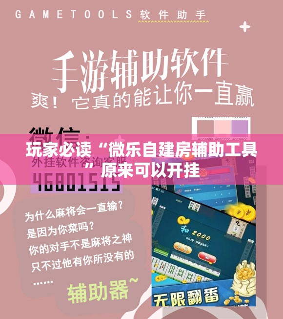 玩家必读“微乐自建房辅助工具	”原来可以开挂