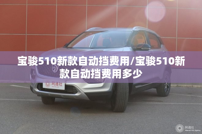 宝骏510新款自动挡费用/宝骏510新款自动挡费用多少 宝骏510新款自动挡费用/宝骏510新款自动挡费用多少