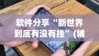 软件分享“新世界到底有没有挂”(辅助神器)开挂详细教程