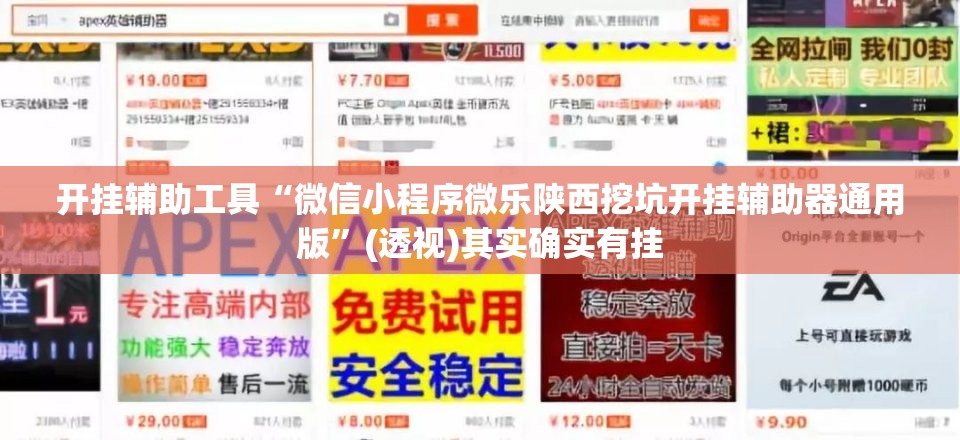 开挂辅助工具“微信小程序微乐陕西挖坑开挂辅助器通用版”(透视)其实确实有挂