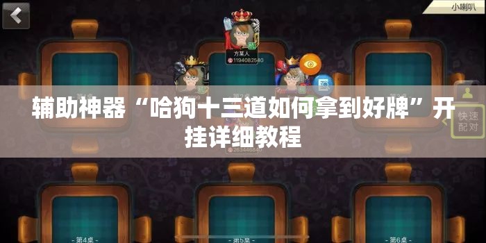 辅助神器“哈狗十三道如何拿到好牌”开挂详细教程