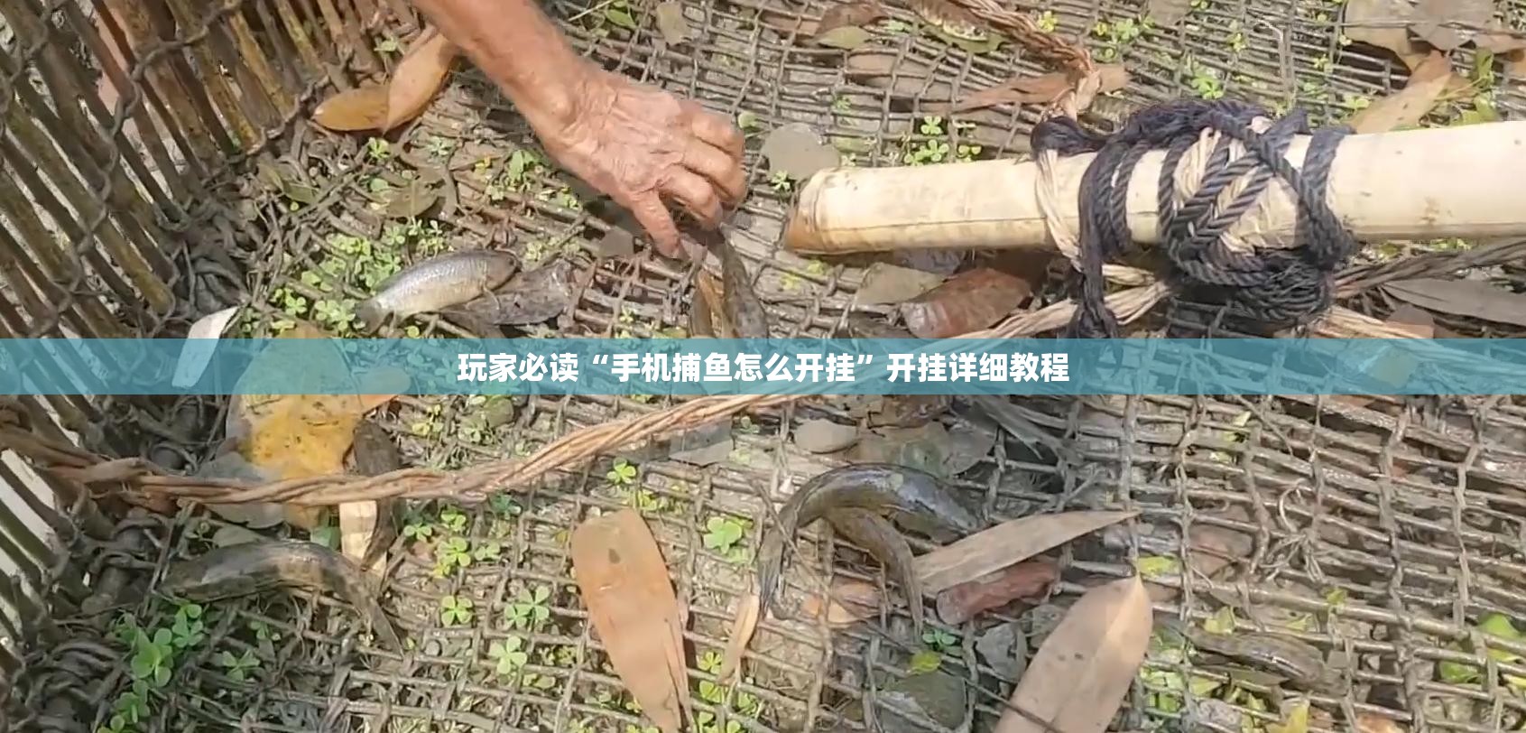 玩家必读“手机捕鱼怎么开挂	”开挂详细教程