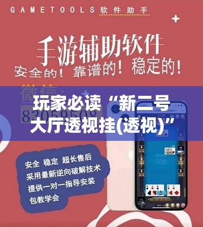 玩家必读“新二号大厅透视挂(透视)”开挂辅助脚本+详细开挂安装教程