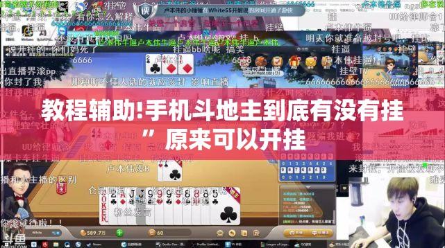 教程辅助!手机斗地主到底有没有挂	”原来可以开挂