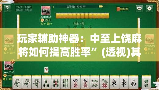 玩家辅助神器：中至上饶麻将如何提高胜率”(透视)其实确实有挂