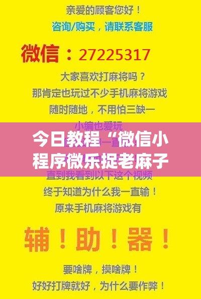 今日教程“微信小程序微乐捉老麻子有挂吗(透视)	”开挂辅助脚本+详细开挂安装教程