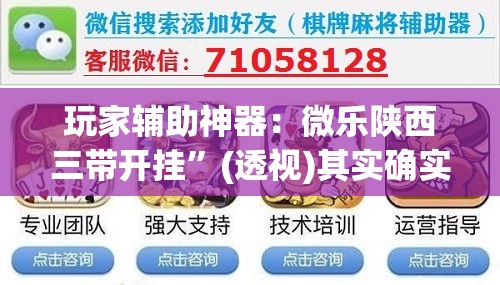 玩家辅助神器：微乐陕西三带开挂”(透视)其实确实有挂
