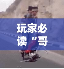 玩家必读“哥哥斗地主万能开挂神器”科技辅助神器手机版