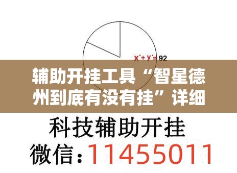 辅助开挂工具“智星德州到底有没有挂	”详细外挂透视辅助软件教程