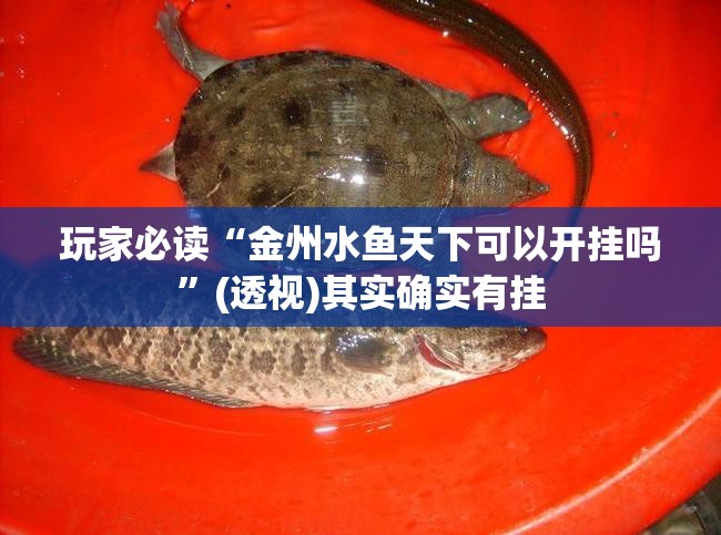 玩家必读“金州水鱼天下可以开挂吗	”(透视)其实确实有挂