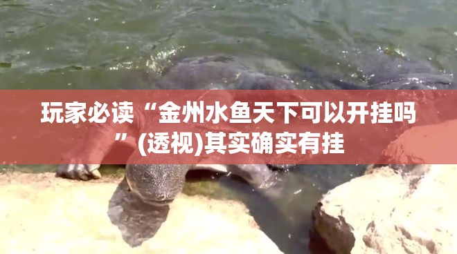 玩家必读“金州水鱼天下可以开挂吗	”(透视)其实确实有挂