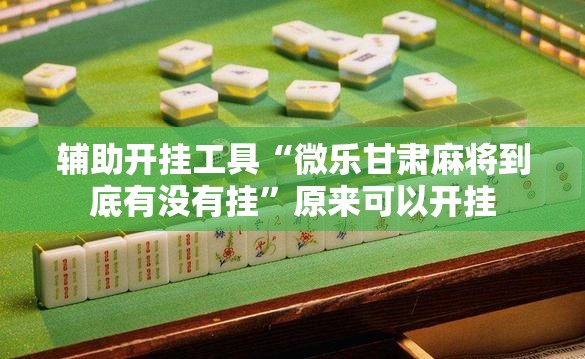 辅助开挂工具“微乐甘肃麻将到底有没有挂	”原来可以开挂
