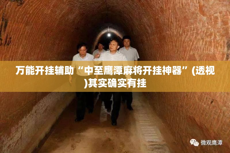 万能开挂辅助“中至鹰潭麻将开挂神器”(透视)其实确实有挂