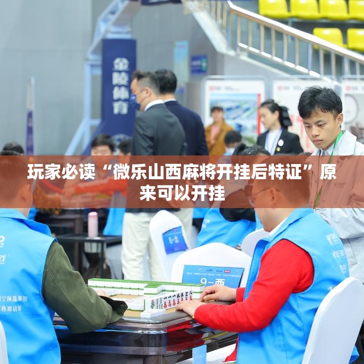玩家必读“微乐山西麻将开挂后特证”原来可以开挂