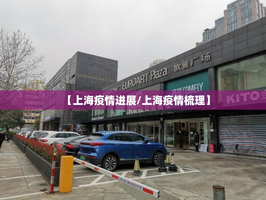 【上海疫情进展/上海疫情梳理】 【上海疫情进展/上海疫情梳理】