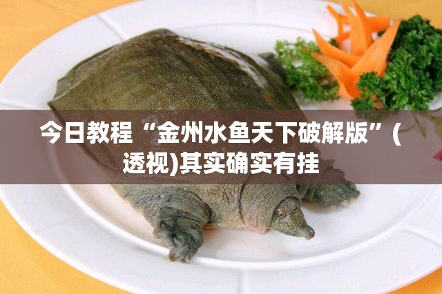今日教程“金州水鱼天下破解版”(透视)其实确实有挂