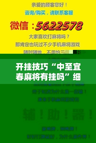 开挂技巧“中至宜春麻将有挂吗”细辅助教程分享